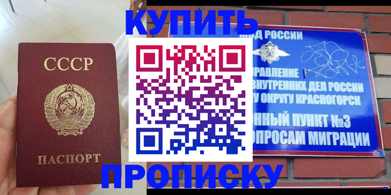 временная регистрация купить в Североморске